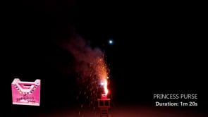 Princess Purse - Fireworks Over America